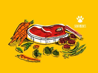 Why I Feed My Dogs Raw Meat