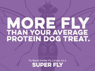 Scout & Zoe’s New Product Line: Super Fly