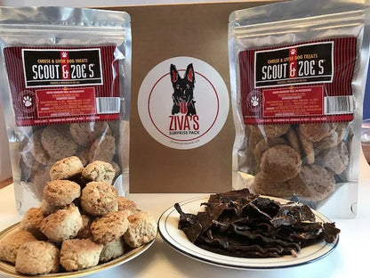 Ziva's Surprise Pack for Dogs - Monthly Treat Box