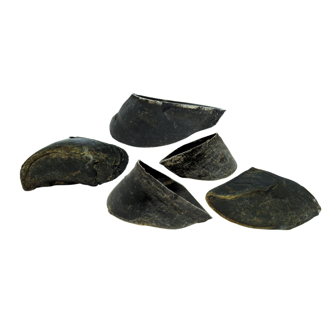 Hoofers - Cow Hoof Chews for Dogs