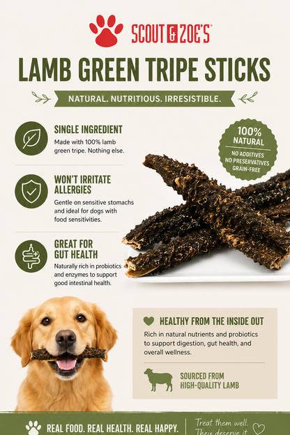 Lamb Green Tripe Sticks for Dogs - Dehydrated - 3 oz Package
