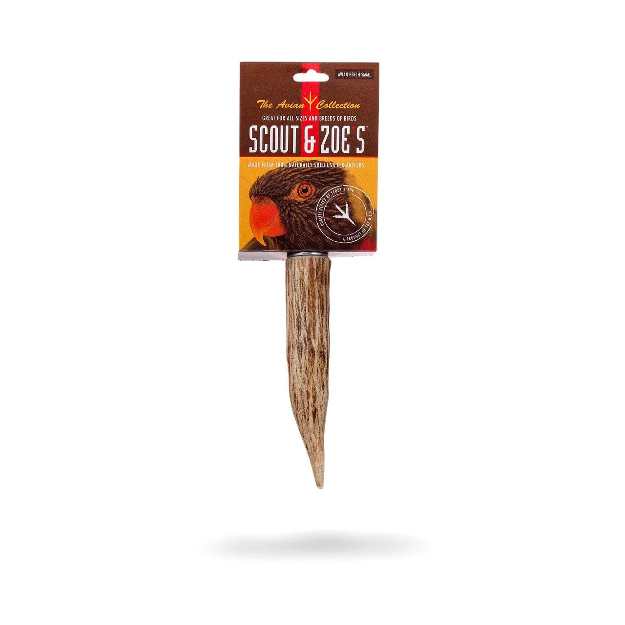 Avian Elk Antler Perch for Indoor and Outdoor Birds
