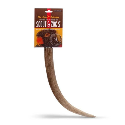 Avian Elk Antler Perch for Indoor and Outdoor Birds