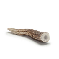 Elk Antler Dog and Small Animal Chews
