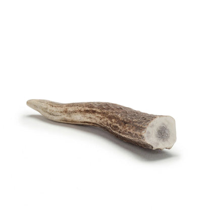 Elk Antler Dog and Small Animal Chews
