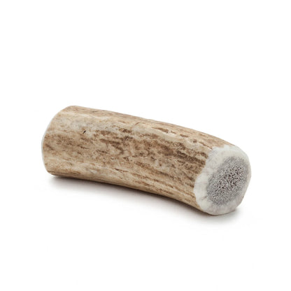 Elk Antler Dog and Small Animal Chews