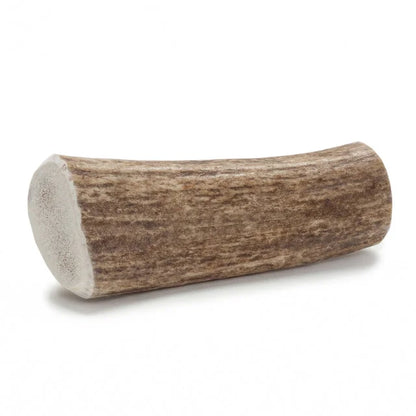 Elk Antler Dog and Small Animal Chews