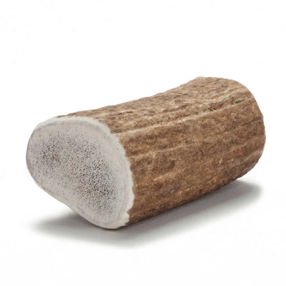 Elk Antler Dog and Small Animal Chews