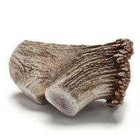 Elk Antler Dog and Small Animal Chews