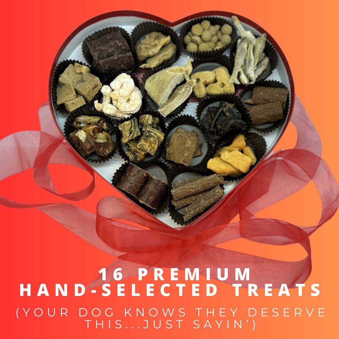 LIMITED EDITION Valentine’s Day Treat Heart : Pre-order now! Ships February 7, 2025