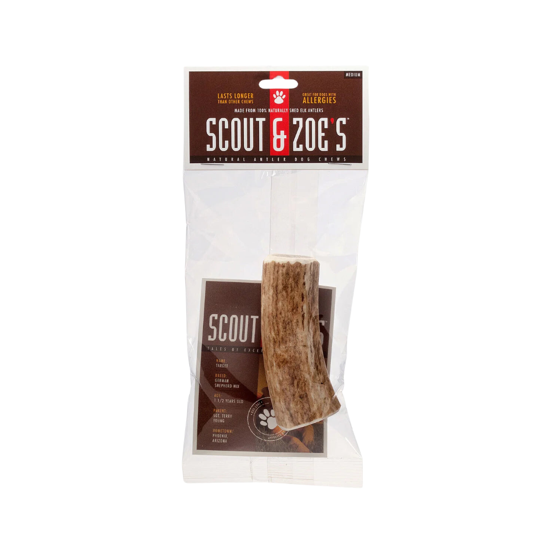 Elk Antler Dog and Small Animal Chews