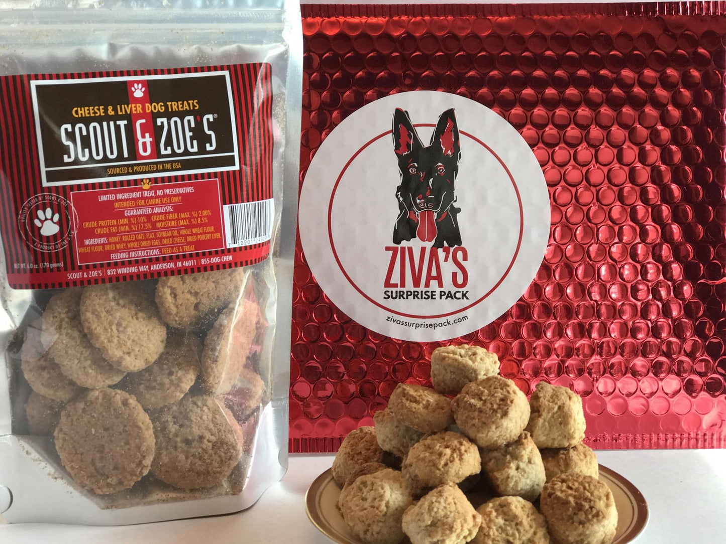 Ziva's Surprise Pack for Dogs - Monthly Treat Box